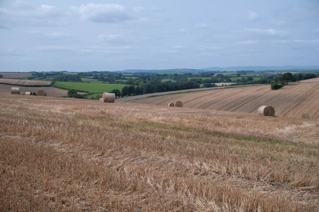 Selling part of a farm while retaining the farmhouse